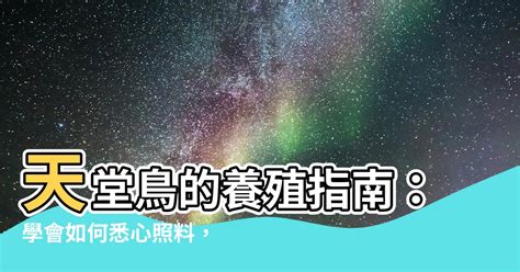 天堂鳥照顧|【天堂鳥如何照顧】天堂鳥的養殖指南：學會如何悉心。